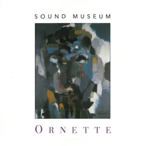 Sound museum : hidden man